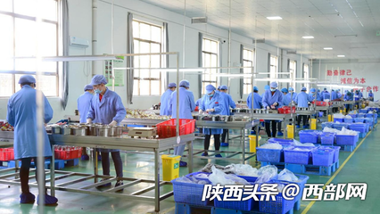 上海迪士尼的“大列巴”竟来自旬邑 这座“美食工厂”已解决227名贫困户就业